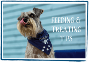 feeding and treating tips
