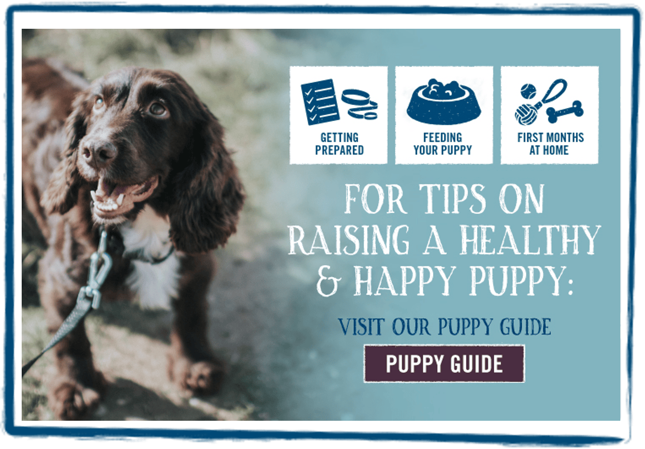 Butcher's dog food Naturally Nourishing Food for Dogs